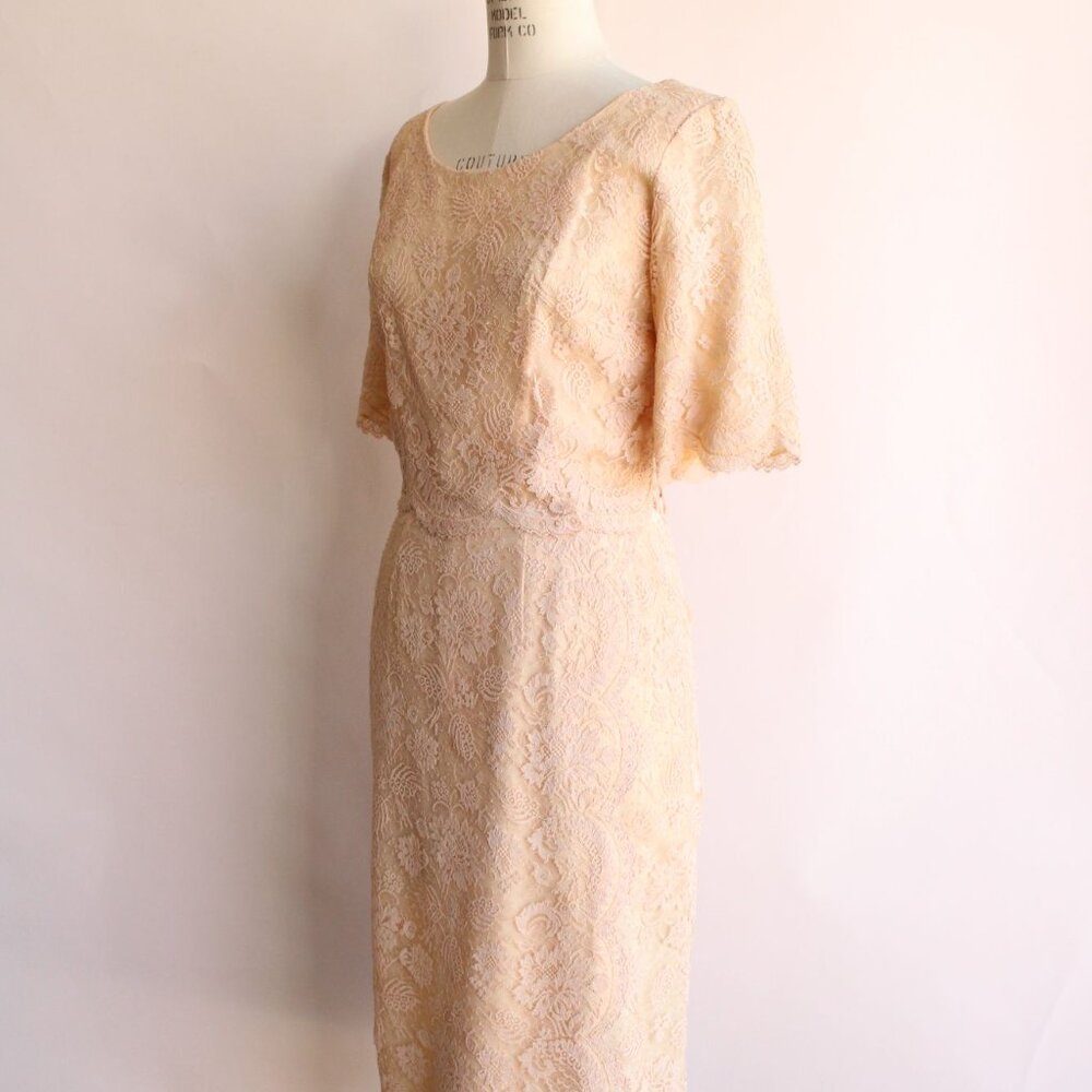 Vintage 1960s Dress, Pink Illusion Lace Fluttery Open Back - Picture 9 of 11